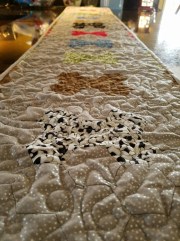 20170211_112954_resized