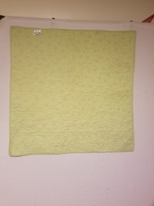 20170728_233146_resized