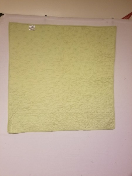 20170728_233146_resized