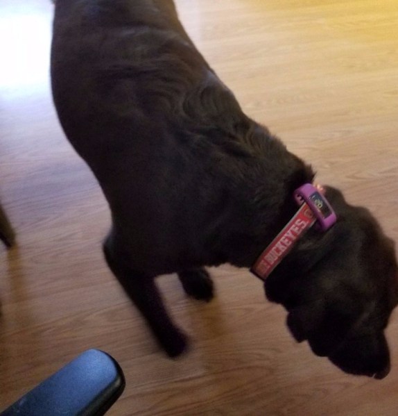 20180121_112137_resized