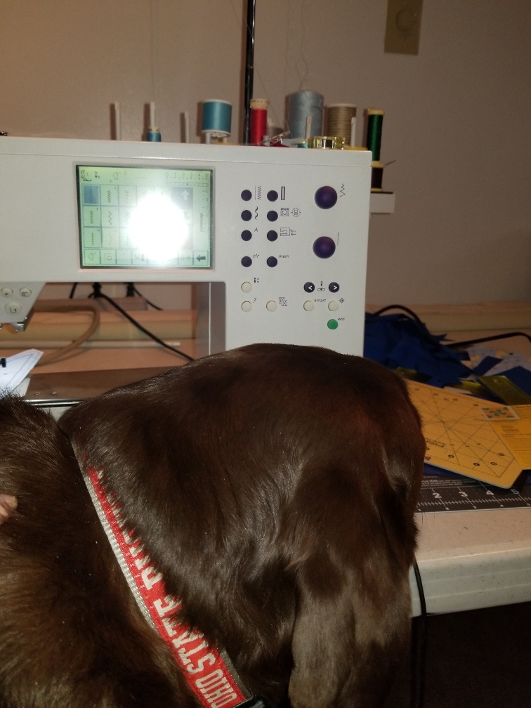 20180217_120109_resized