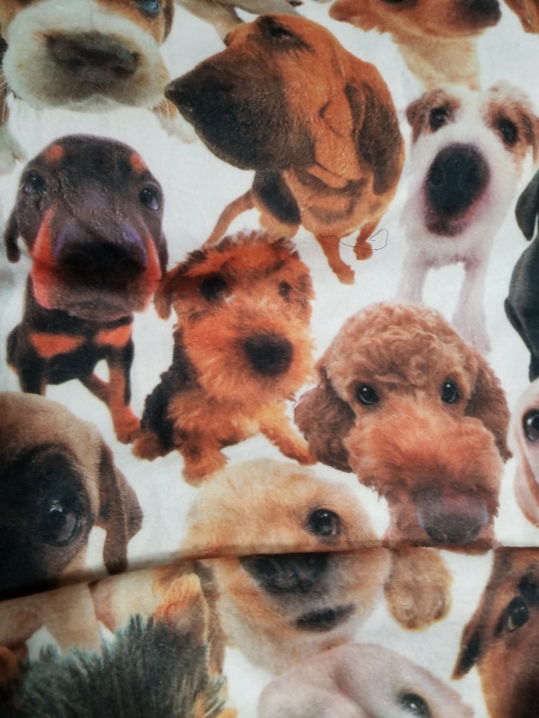 20180317_205042_resized