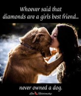 FB_IMG_1581463485613 (1)