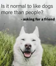 FB_IMG_1583067538400