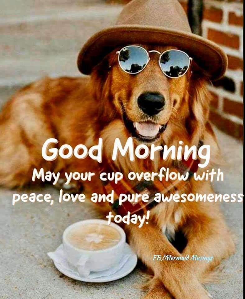 FB_IMG_1583450646086