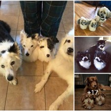 Screenshot_20200626-140458_Facebook (1)